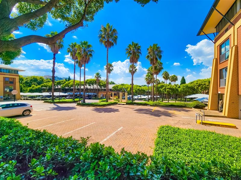 331m2 Office to Let in Constantia Office Park - Photo 3