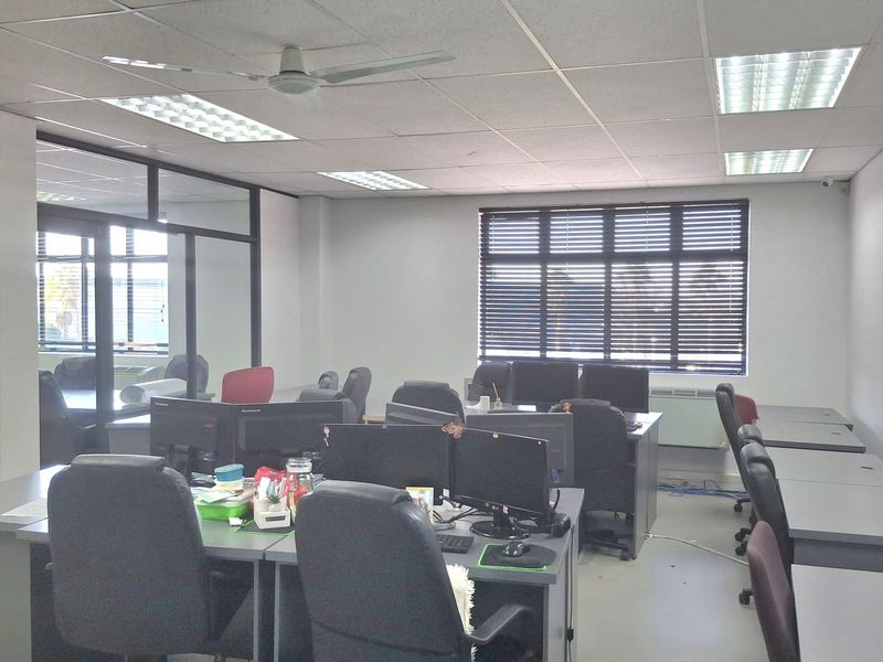 Open-plan office space featuring suspended ceiling tiles, recessed lighting, ceiling fan, and glass-partitioned meeting area with window blinds.