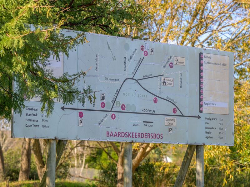 Baardskeerdersbos Beauty -Versatile Farmland with Mountain Views - Photo 7