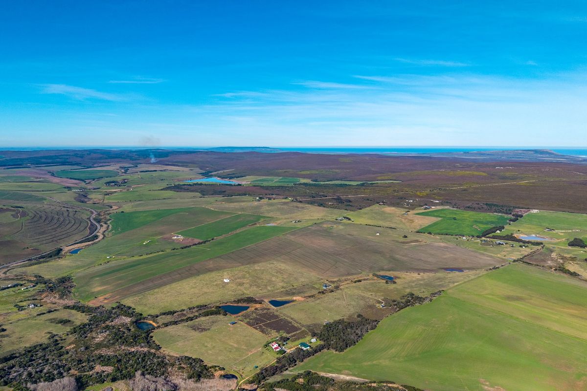 Baardskeerdersbos Beauty -Versatile Farmland with Mountain Views - Photo 2
