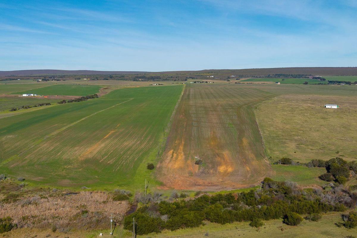 Baardskeerdersbos Beauty -Versatile Farmland with Mountain Views - Photo 3