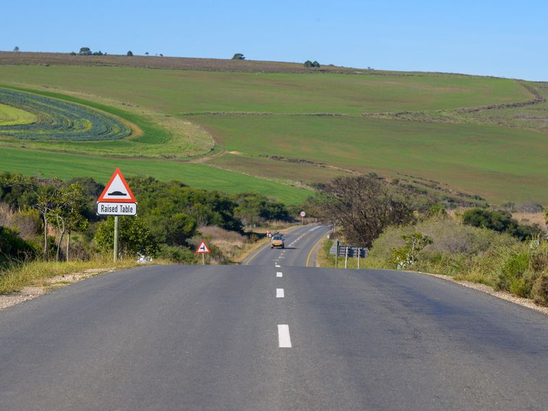Baardskeerdersbos Beauty -Versatile Farmland with Mountain Views - Photo 8