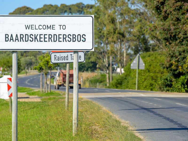 Baardskeerdersbos Beauty -Versatile Farmland with Mountain Views - Photo 10