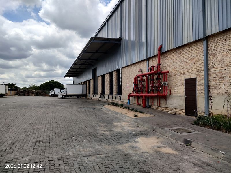 7625m2  Warehouse  - TO LEASE - Photo 7