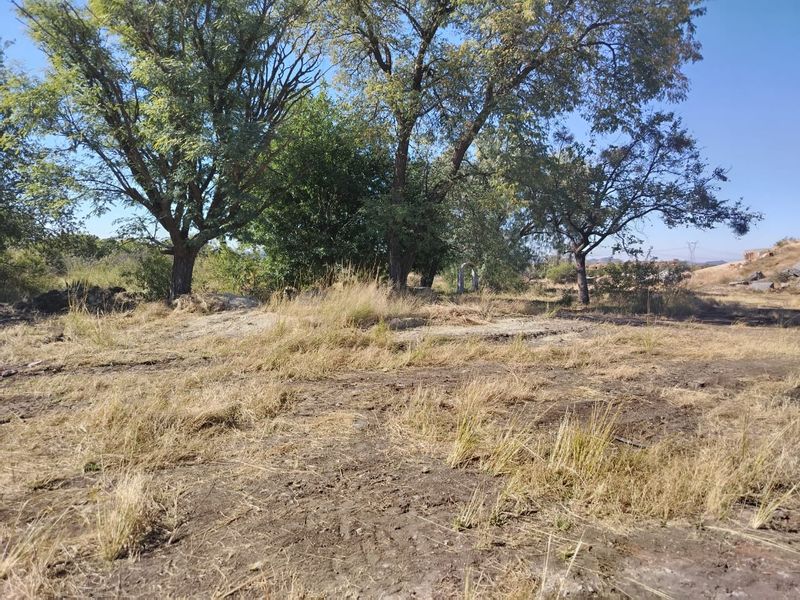 An expansive, undeveloped outdoor area featuring mature trees and natural ground cover, suitable for landscaping or agricultural use.