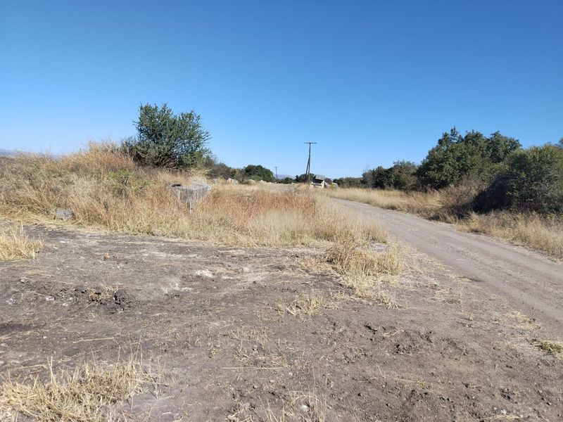 A view of a rural dirt access road leading through the property, featuring natural vegetation and utility infrastructure.