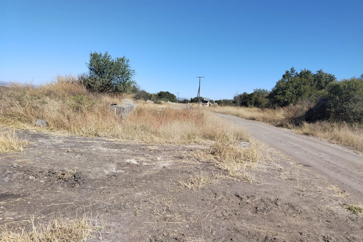 A view of a rural dirt access road leading through the property, featuring natural vegetation and utility infrastructure.