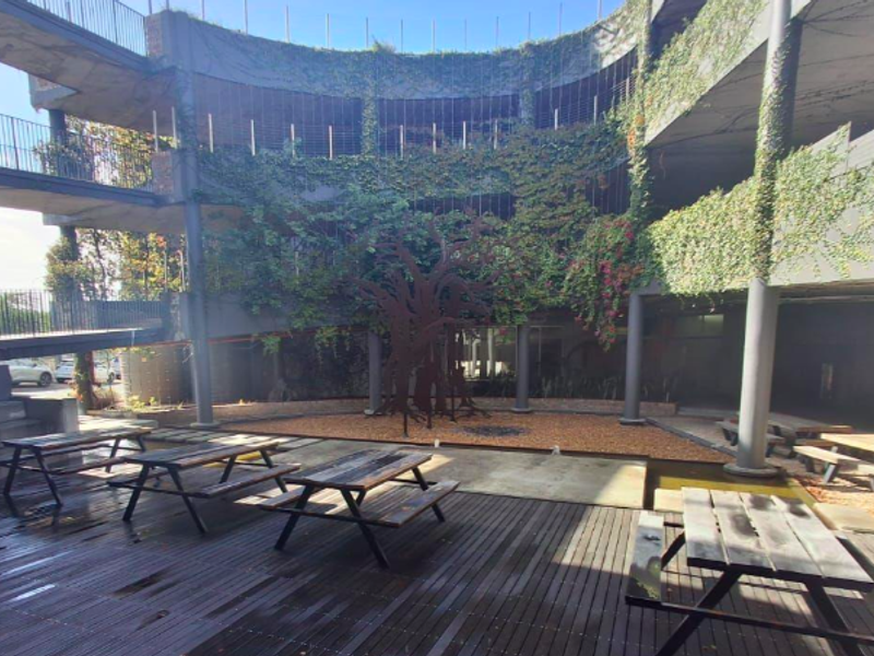 A multi-level outdoor courtyard featuring timber decking, structural concrete columns, metal railings, and integrated climbing greenery with a central sculptural tree.
