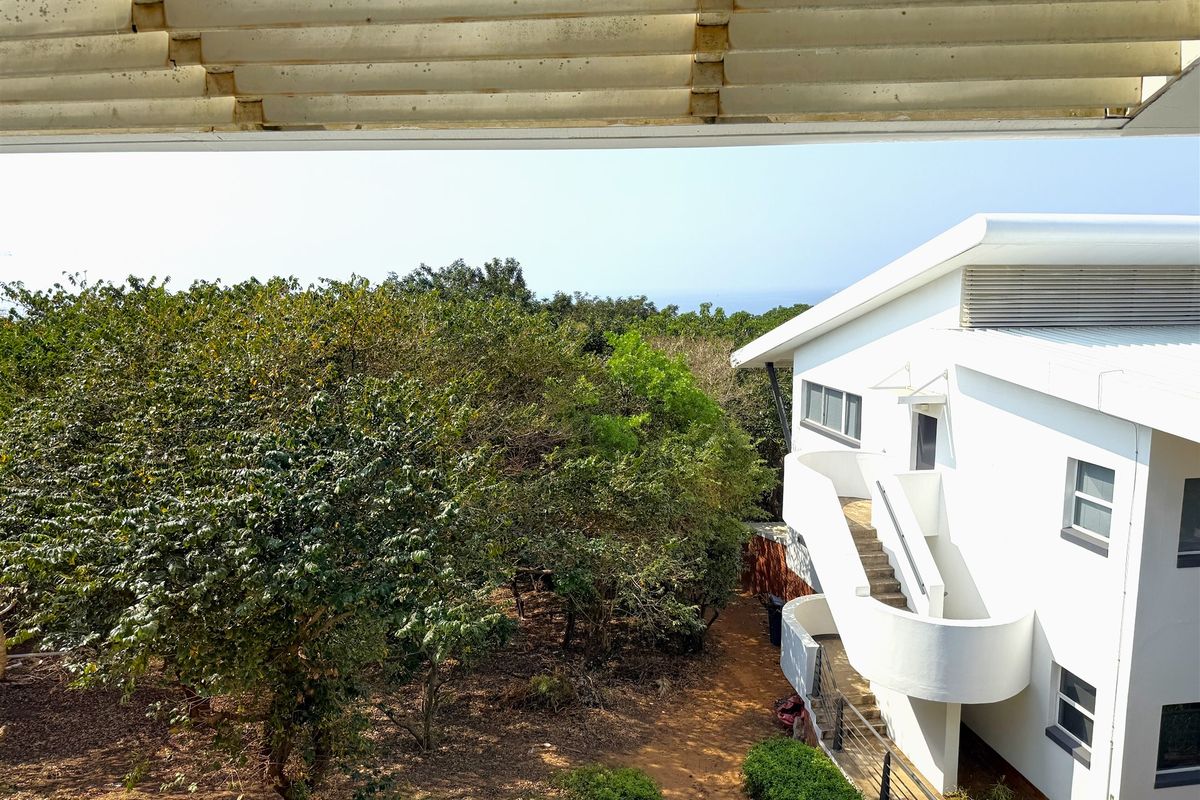 Elevated view of the office building exterior, featuring modern white architecture, external staircase, and surrounding lush greenery.