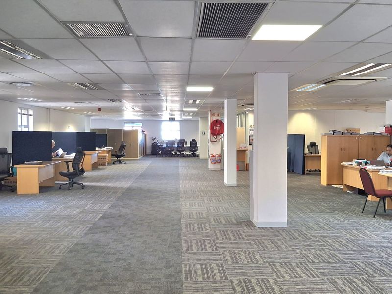 Spacious open-plan office area featuring suspended ceilings, recessed lighting, integrated air conditioning, and durable carpet tile flooring.