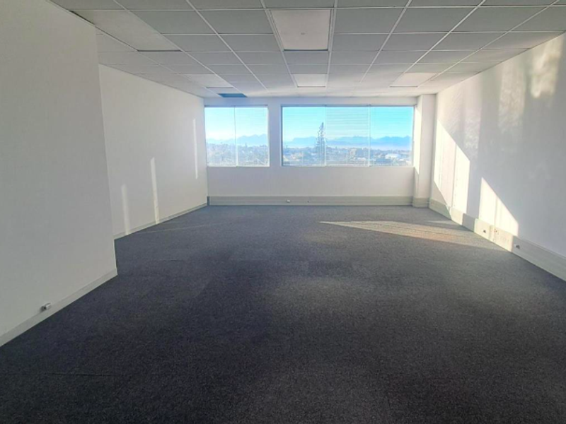 A spacious, empty office suite featuring neutral carpeting, a suspended ceiling, and large windows offering expansive views.