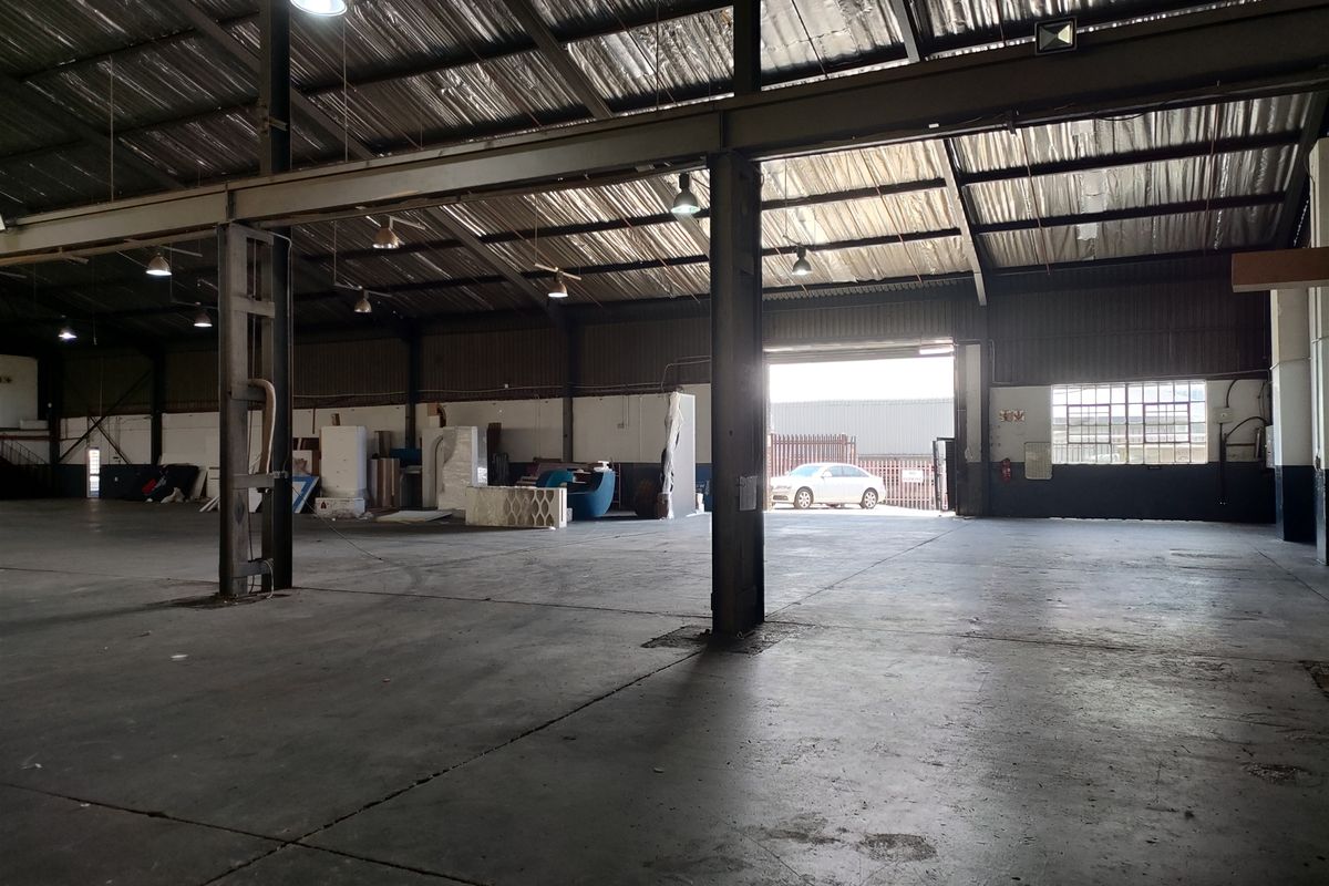 Spacious industrial warehouse featuring high ceilings, concrete flooring, and a large roller shutter door, suitable for various storage or manufacturing operations.