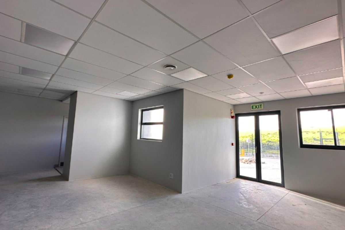 A clean, open-plan industrial office space featuring a suspended ceiling, recessed lighting, concrete flooring, and large aluminium-framed windows and doors.