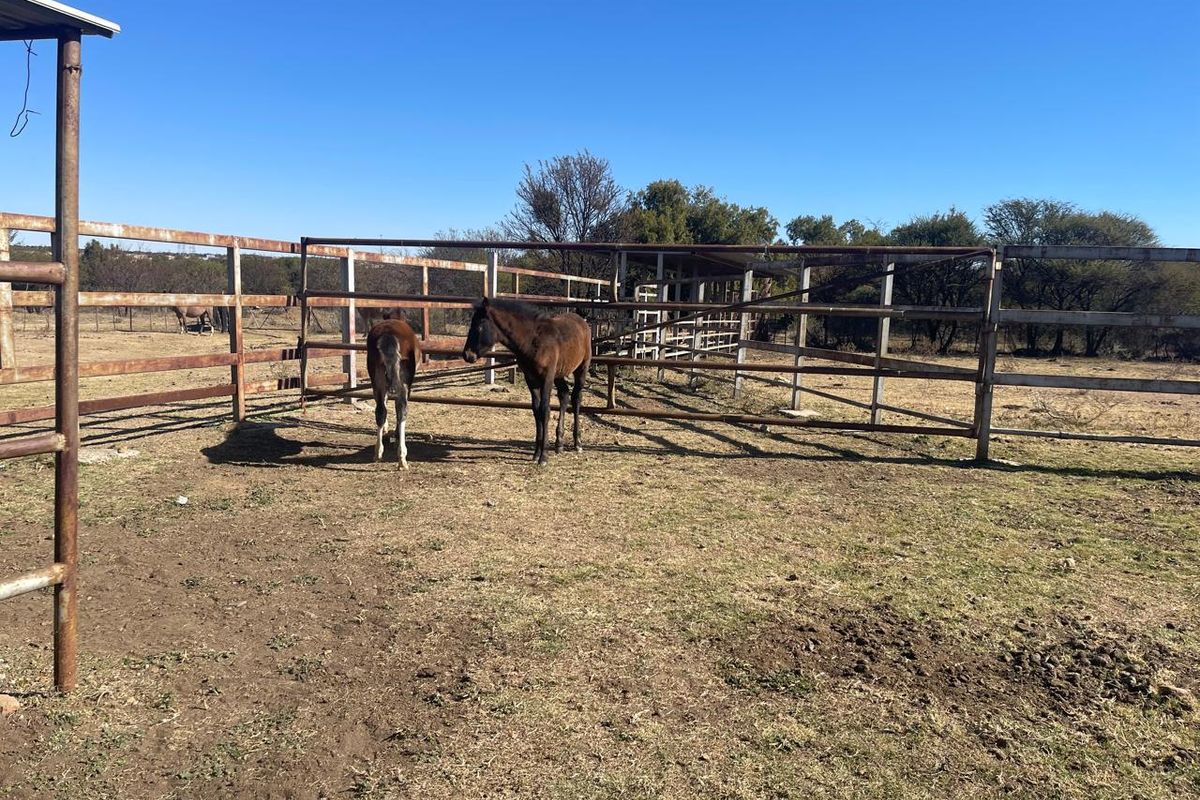 Outdoor livestock enclosure featuring metal fencing and support posts on a farm property.