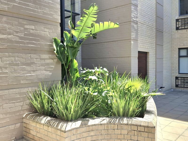 A well-maintained paved courtyard area featuring a built-in brick planter box against a brick building facade.
