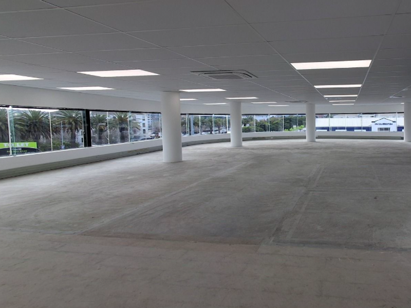 A spacious, open-plan office area featuring a suspended ceiling with recessed lighting, structural columns, and expansive floor-to-ceiling windows offering natural light.