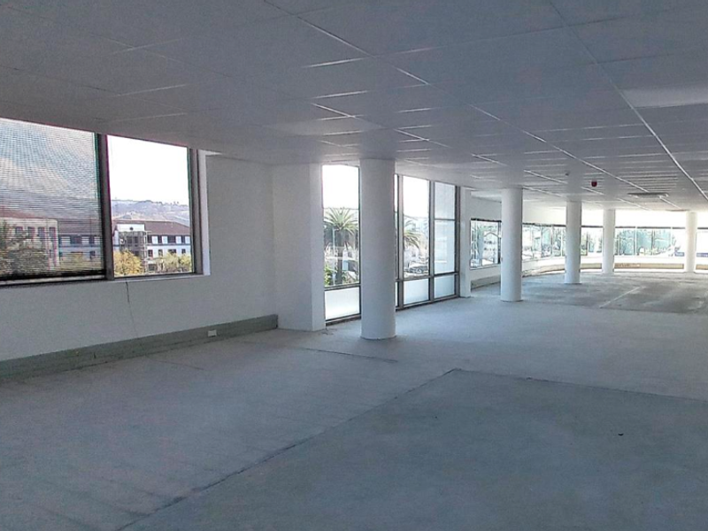Spacious open-plan office area featuring large windows, structural columns, and a suspended ceiling, offering a bright and versatile workspace.