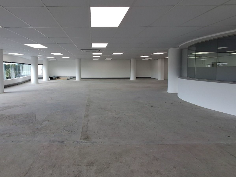 A spacious, open-plan office area featuring a suspended ceiling with recessed lighting, structural columns, and large windows providing ample natural light.