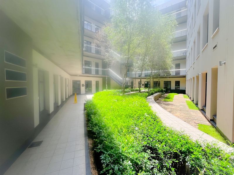 244m2 office space to let in Melrose Arch - Photo 8