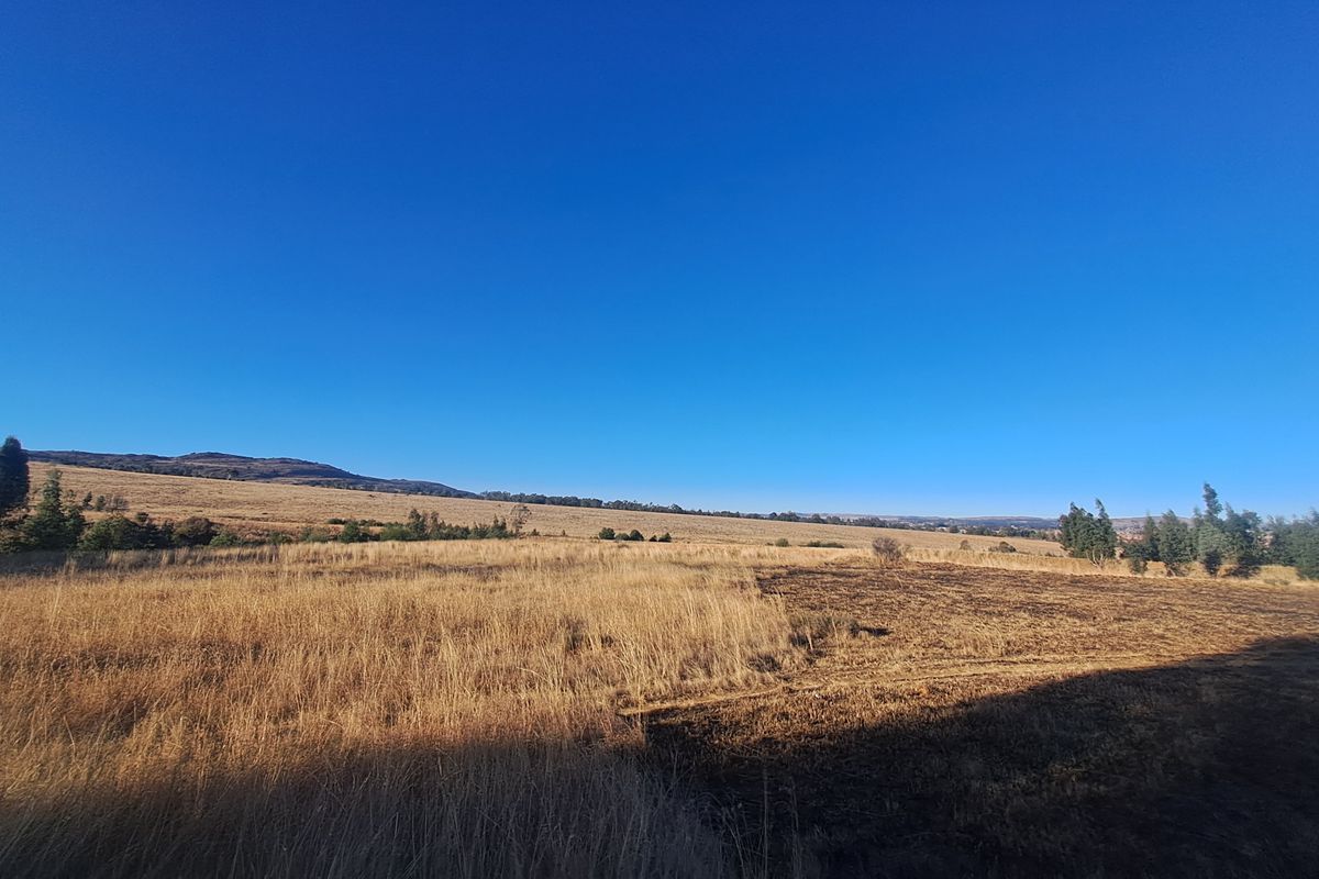 Expansive 129ha Vacant Farm – Endless Possibilities Await! - Photo 2