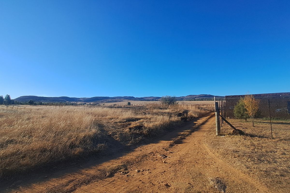 Expansive 129ha Vacant Farm – Endless Possibilities Await! - Photo 4