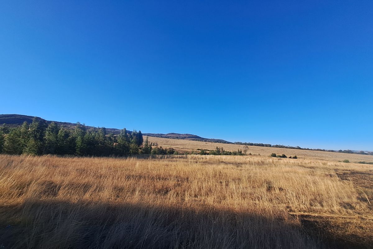 Expansive 129ha Vacant Farm – Endless Possibilities Await! - Photo 3