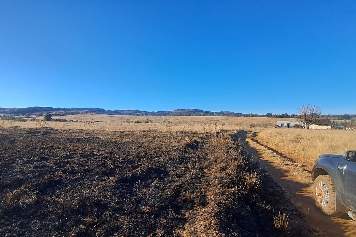 Expansive 129ha Vacant Farm – Endless Possibilities Await! - Photo 5