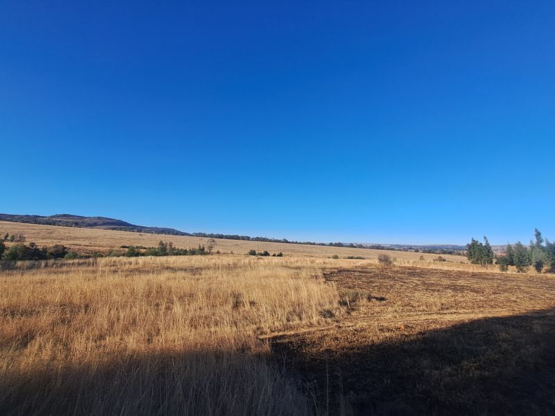 Expansive 129ha Vacant Farm – Endless Possibilities Await! - Photo 2