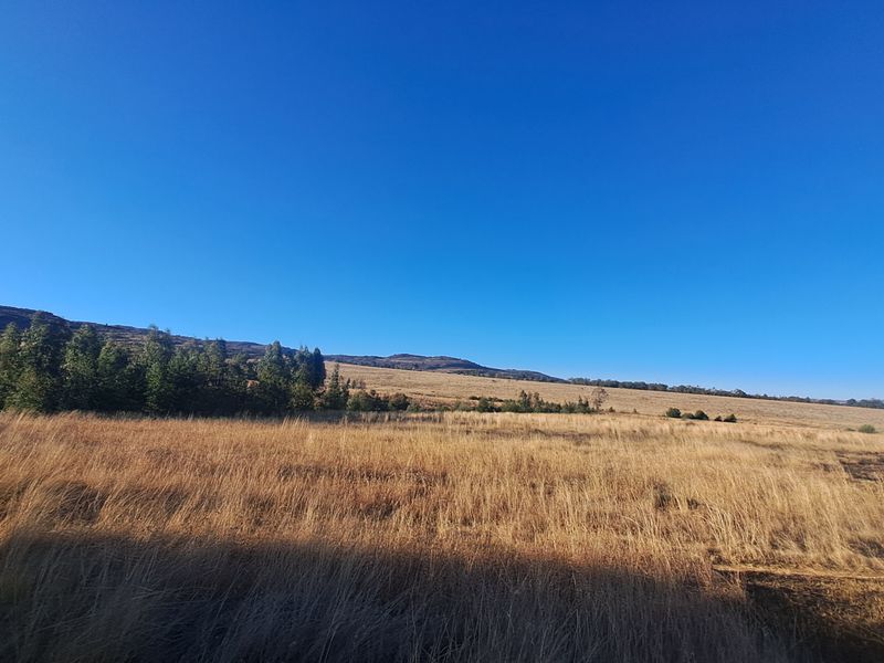 Expansive 129ha Vacant Farm – Endless Possibilities Await! - Photo 3