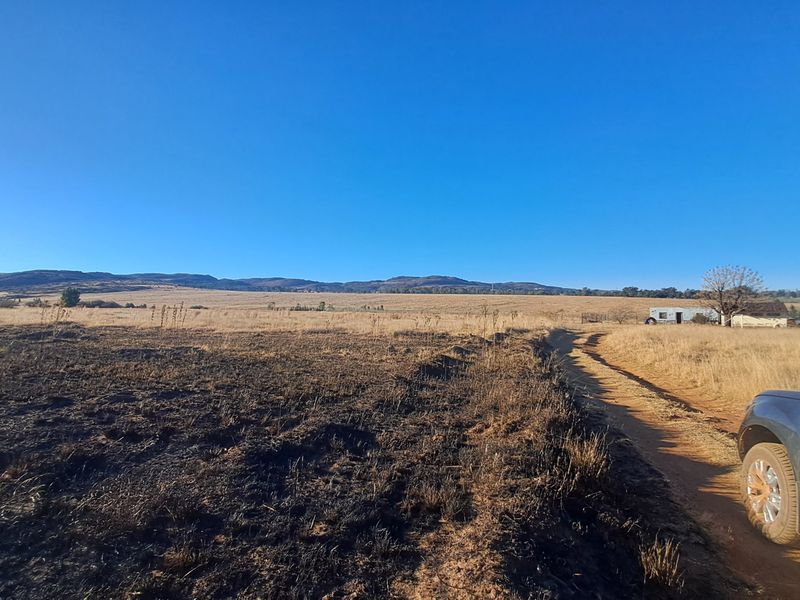 Expansive 129ha Vacant Farm – Endless Possibilities Await! - Photo 5