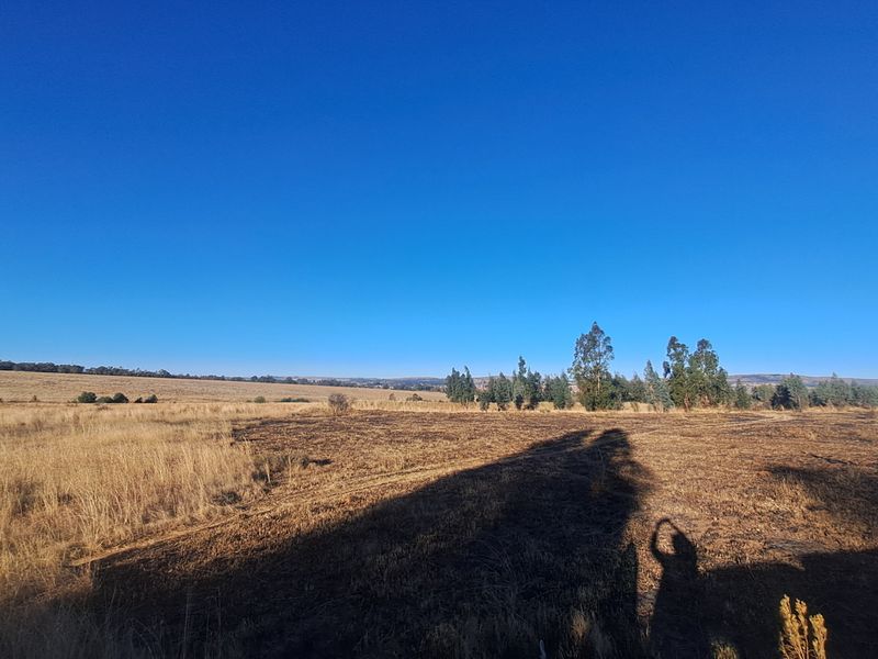 Expansive 129ha Vacant Farm – Endless Possibilities Await! - Photo 6