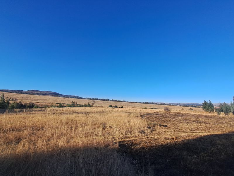 Expansive 129ha Vacant Farm – Endless Possibilities Await! - Photo 7