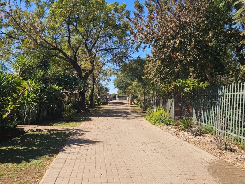 A well-maintained paved driveway leading towards the property, flanked by mature trees and secure steel palisade fencing.