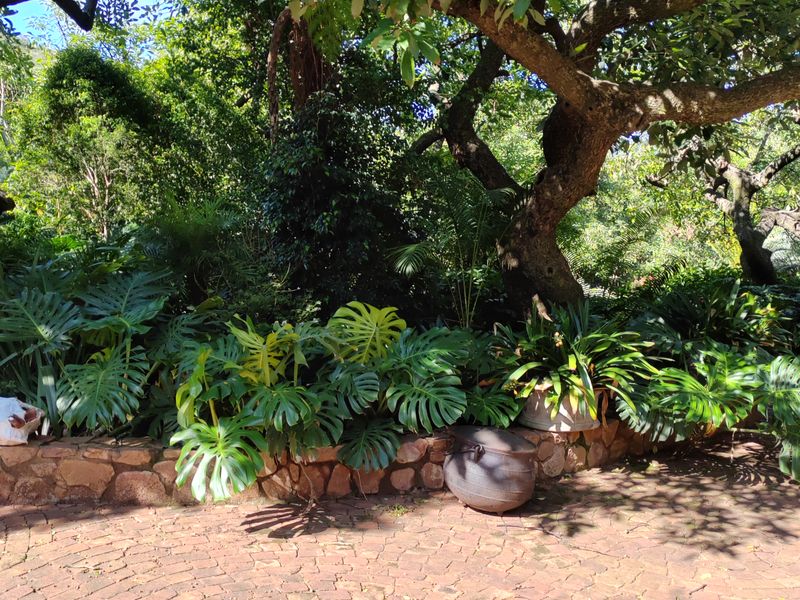 Vegetable farm, cold storage and factory for sale - Photo 8