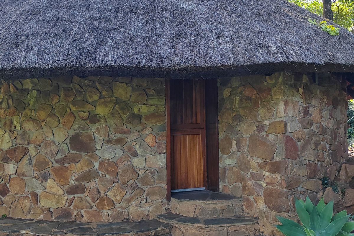 Vegetable farm, cold storage and factory for sale - Photo 3