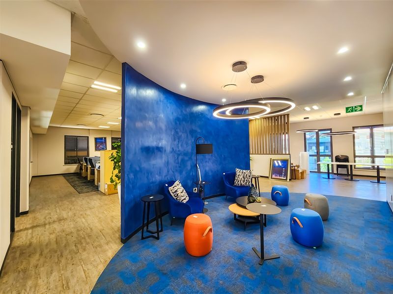 Modern open-plan office breakout area featuring a striking curved blue feature wall, contemporary ring lighting, and a mix of carpet and vinyl flooring.