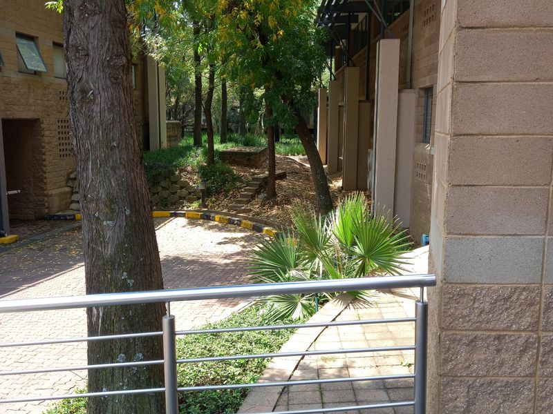 517m2 First Floor Office to Let – Central Office Park, Randjespark, Midrand - Photo 3
