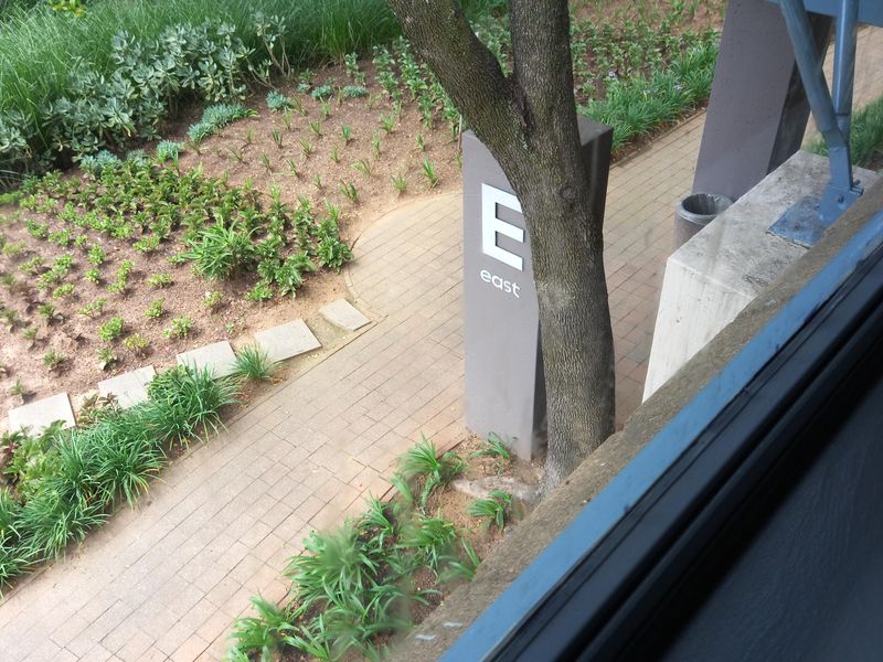 An elevated view of a landscaped office garden area featuring a paved walkway, mature trees, and a modern metal pergola structure.