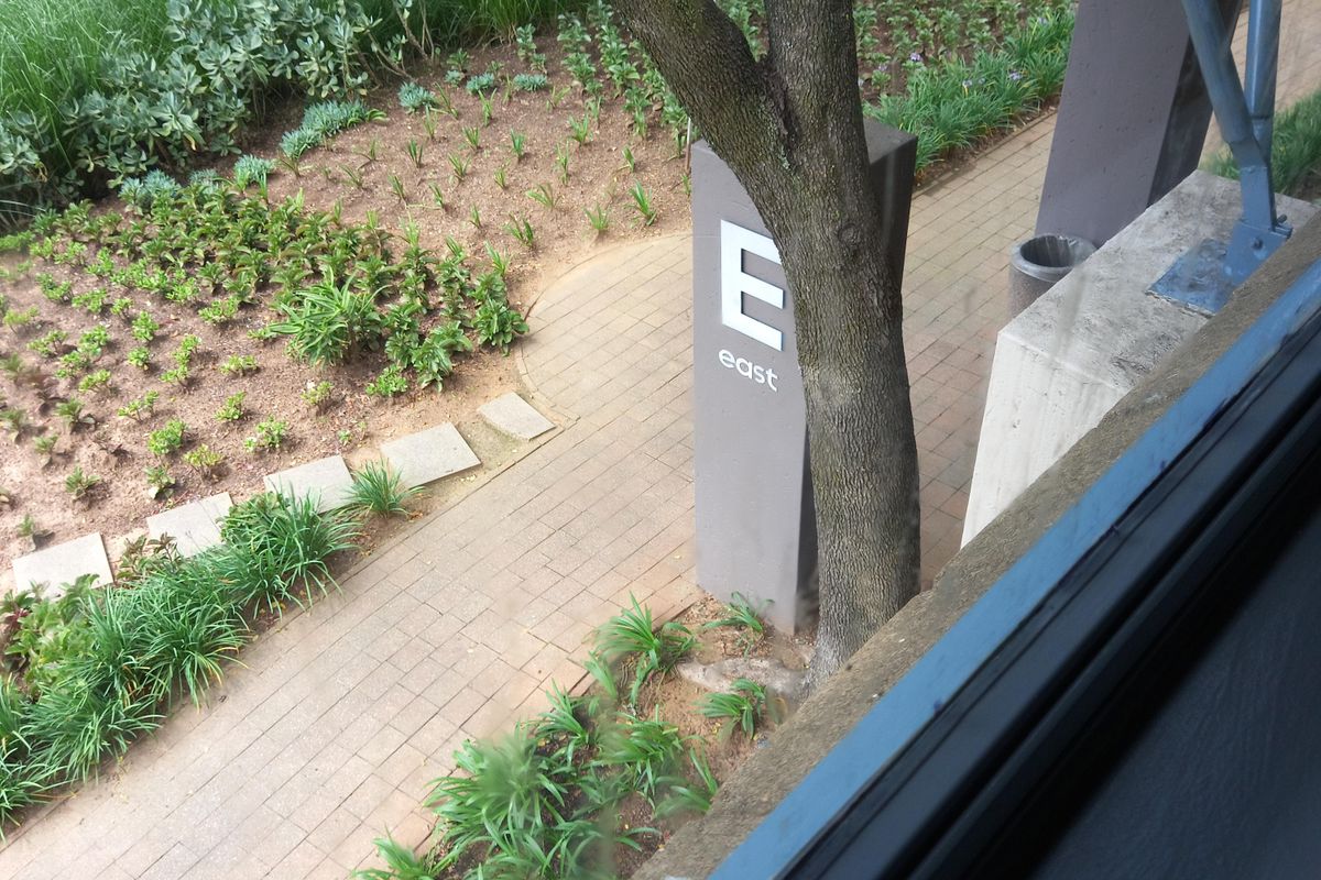 An elevated view of a landscaped office garden area featuring a paved walkway, mature trees, and a modern metal pergola structure.