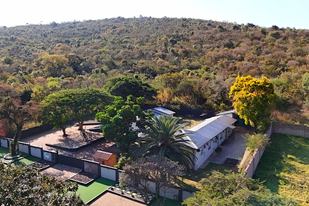 Charming 10-Room Guesthouse for Sale - in Louis Trichardt - Photo 2