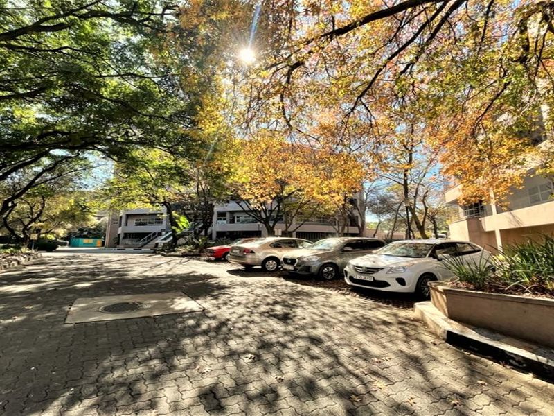 Commercial office park for sale in Parktown - Photo 10