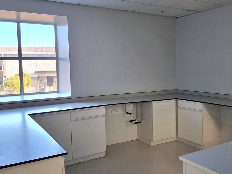 A functional, empty utility or laboratory space featuring built-in cabinetry, durable countertops, and a suspended ceiling with recessed lighting.