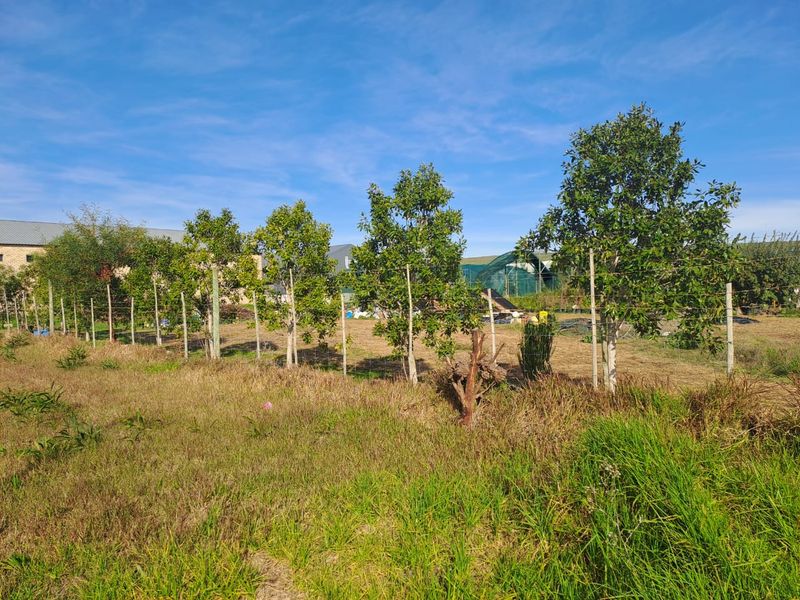 Prime industrial property suited to light manufacturing or storage solutions - Photo 4