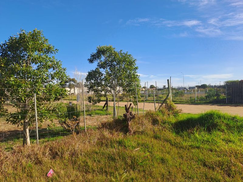 Prime industrial property suited to light manufacturing or storage solutions - Photo 3