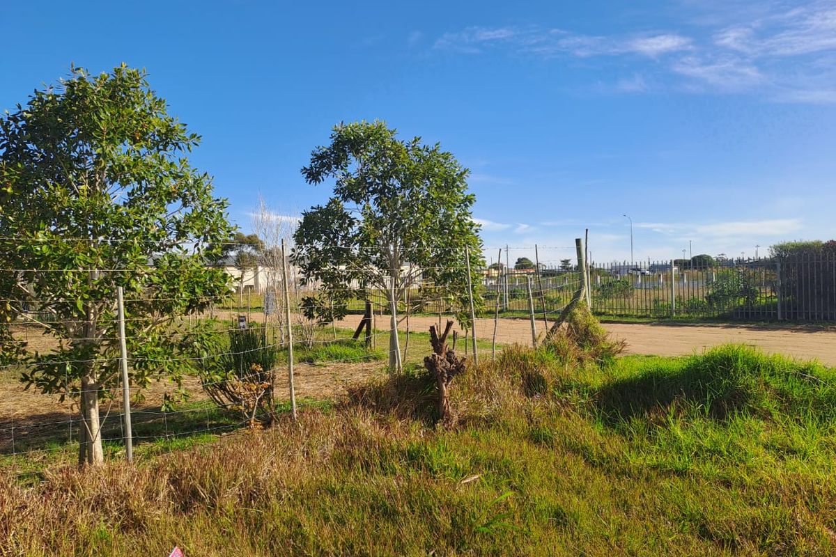 Prime industrial property suited to light manufacturing or storage solutions - Photo 3