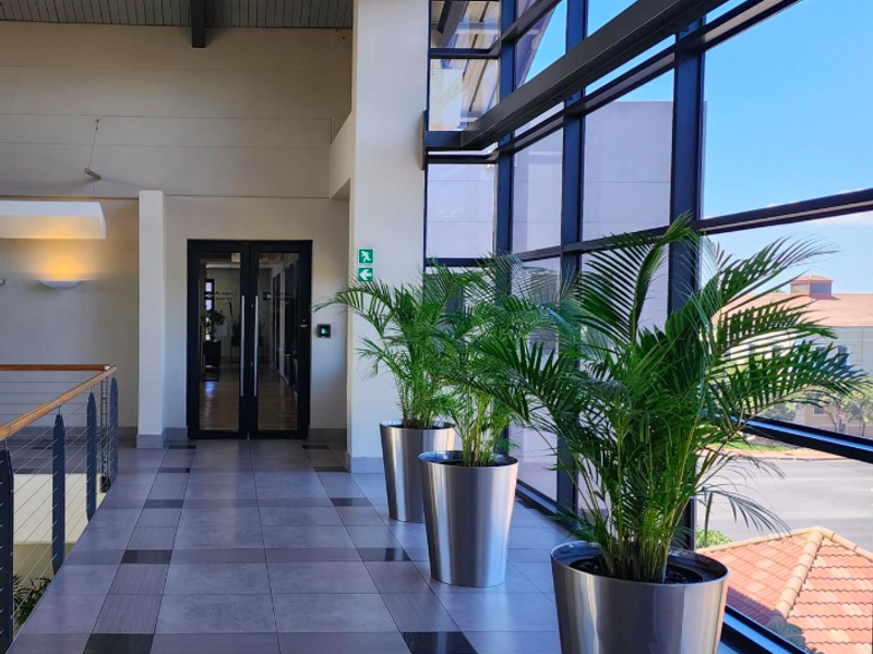 A bright and spacious office hallway featuring large floor-to-ceiling windows, modern tiled flooring, and double glass entrance doors.