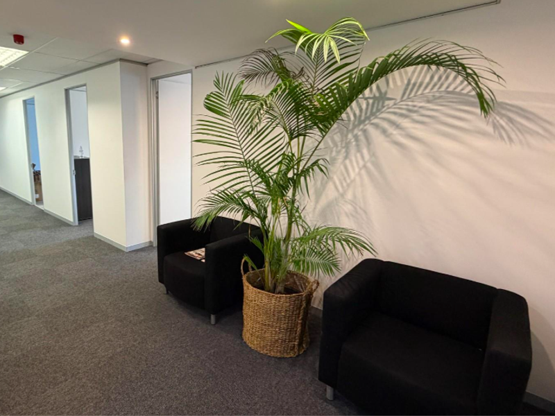 A clean, professional office hallway featuring neutral carpeting, recessed lighting, and multiple doorways leading to individual office spaces.