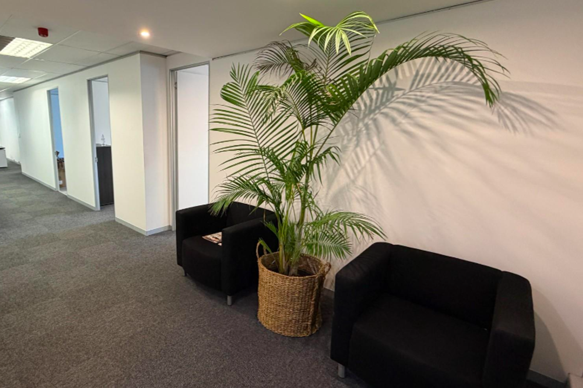 A clean, professional office hallway featuring neutral carpeting, recessed lighting, and multiple doorways leading to individual office spaces.