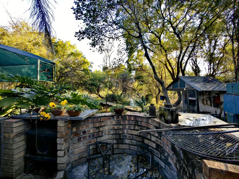 Exceptional Water-Rich Off-Grid Farm - Photo 9