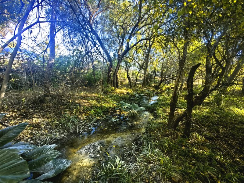 Exceptional Water-Rich Off-Grid Farm - Photo 5